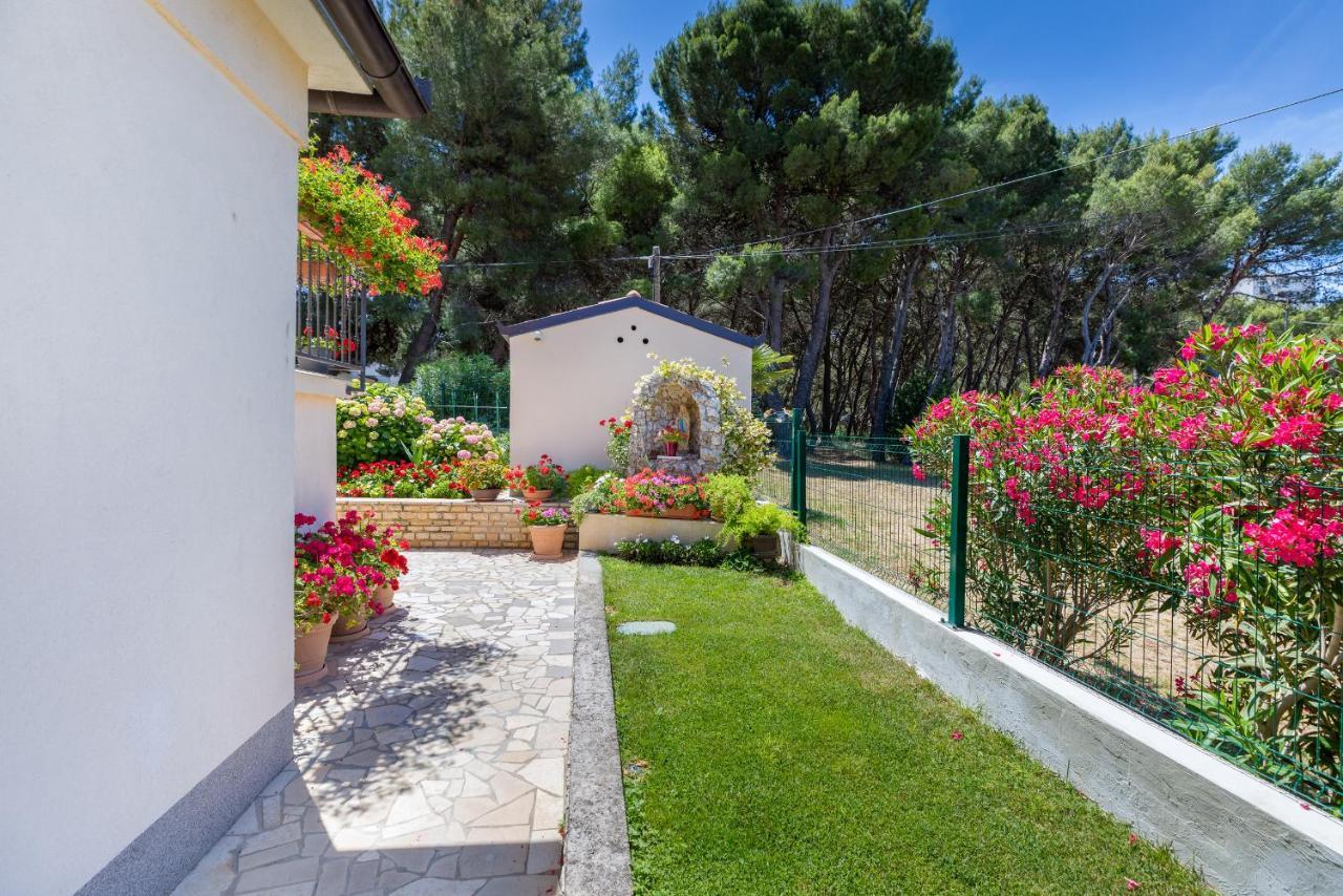 Apartments Hortensia Pula Extérieur photo